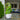 Assembling Tower Garden HOME